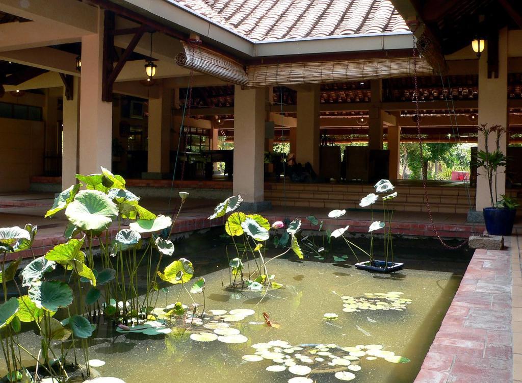 Can Gio Resort Long Hải Extérieur photo